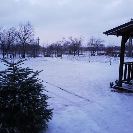 Casa De Vacanta Ayan Hărman Pokój zdjęcie