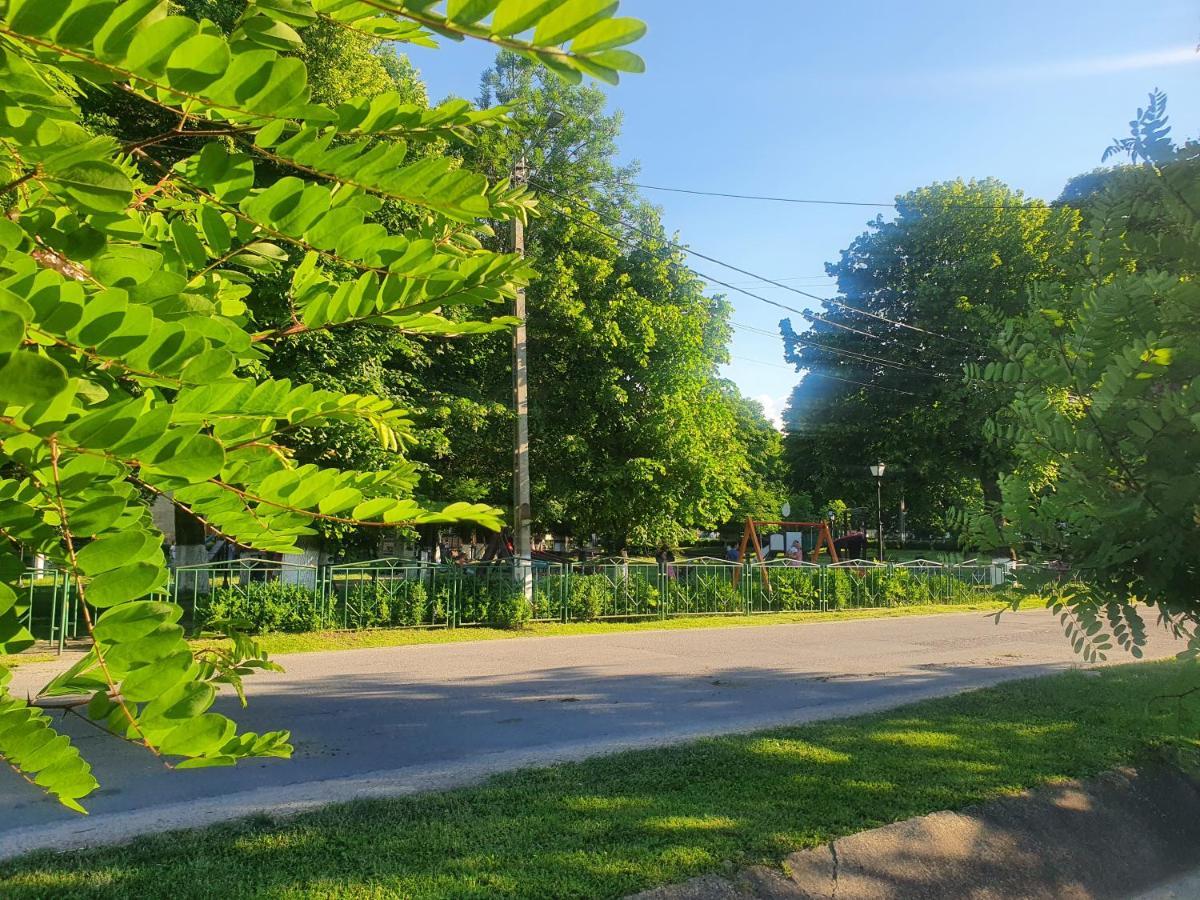 Casa De Vacanta Ayan Hărman Zewnętrze zdjęcie