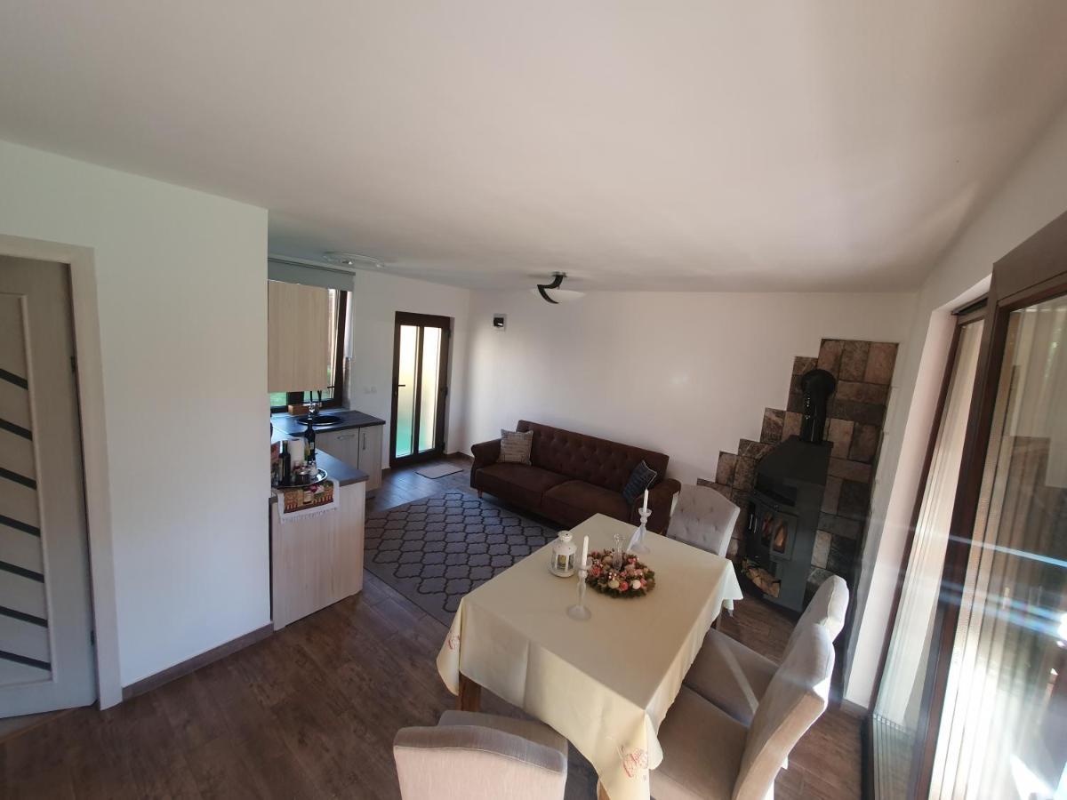 Casa De Vacanta Ayan Hărman Zewnętrze zdjęcie