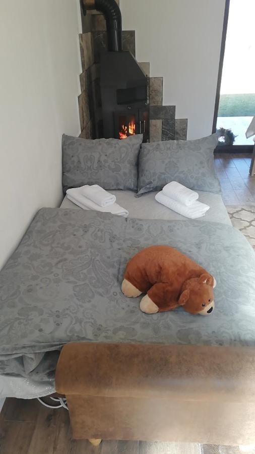 Casa De Vacanta Ayan Hărman Zewnętrze zdjęcie