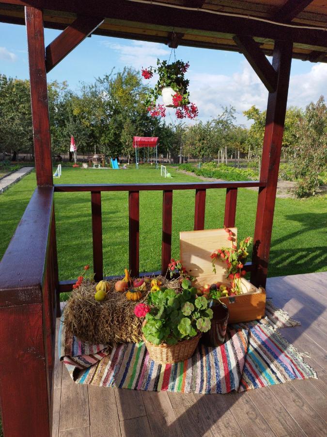 Casa De Vacanta Ayan Hărman Zewnętrze zdjęcie