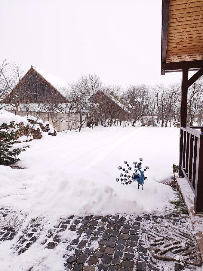 Casa De Vacanta Ayan Hărman Zewnętrze zdjęcie